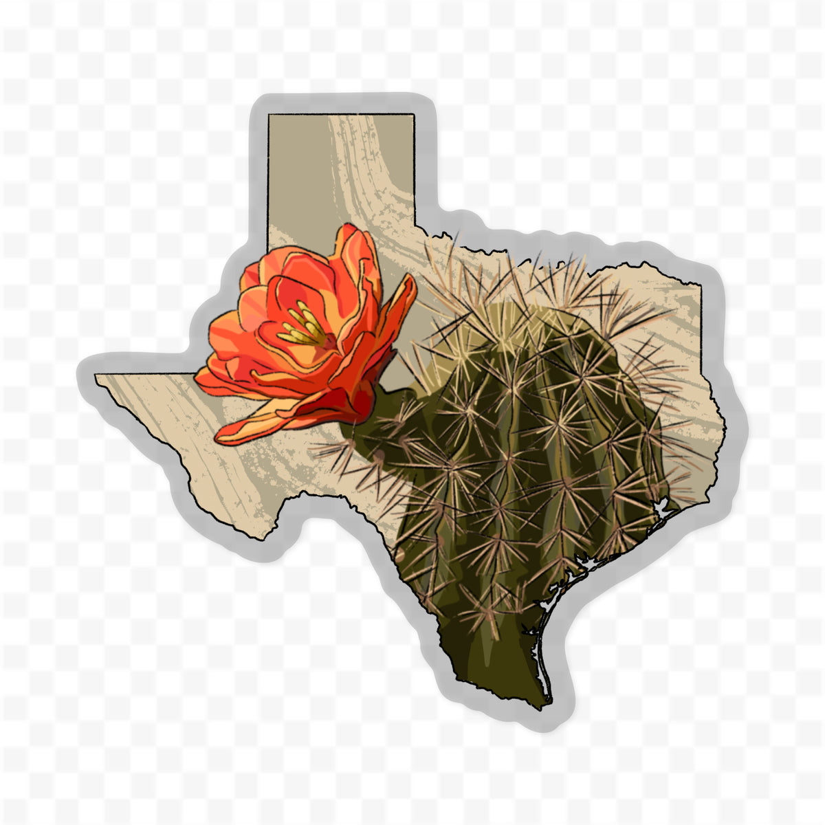 Texas Claret Cup Cactus