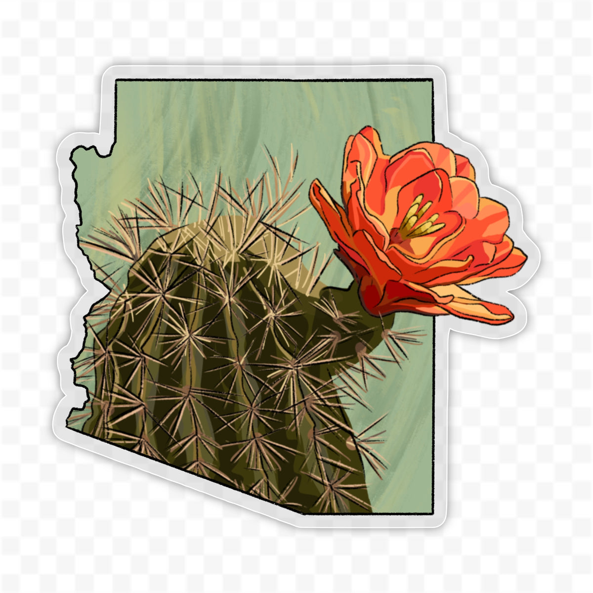 Arizona Claret Cup Cactus