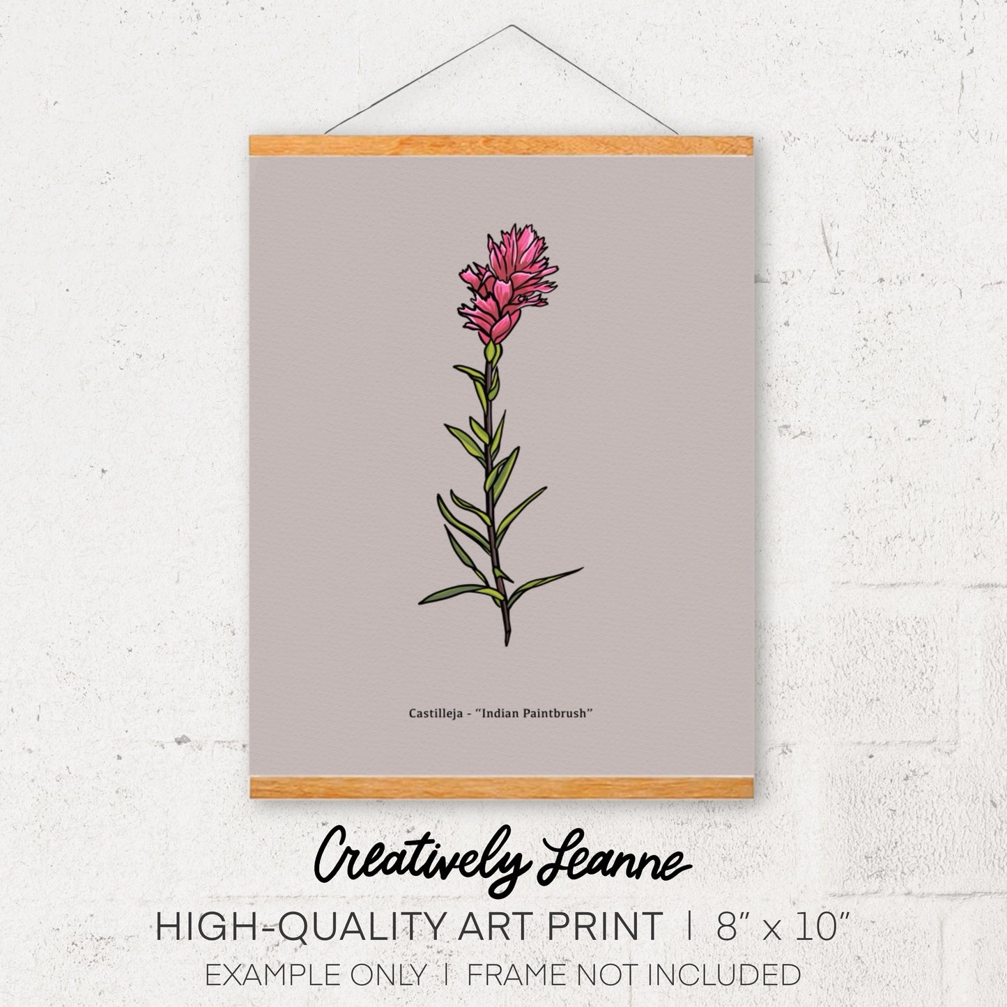 Indian Paintbrush Art Print