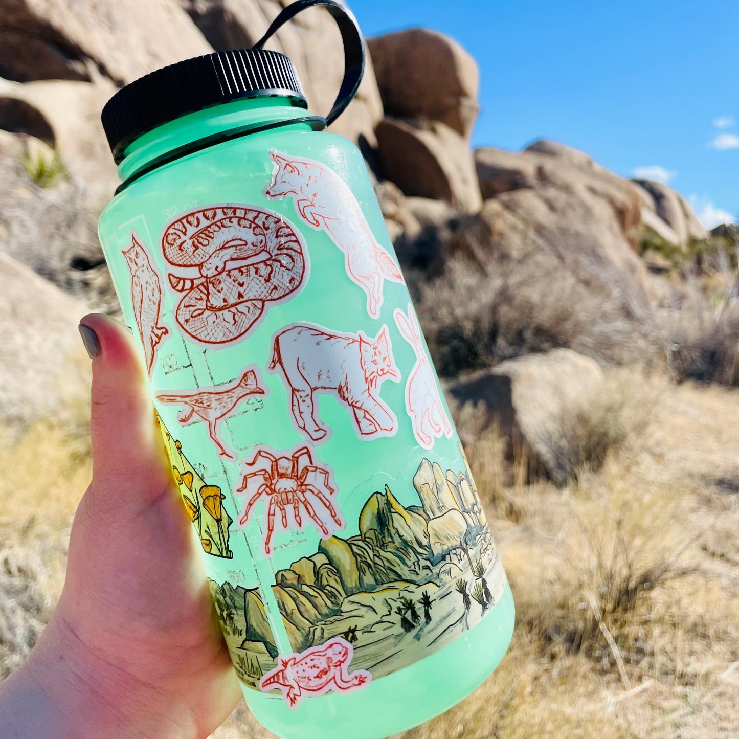 Wildlife of Joshua Tree National Park - Sticker Sheet