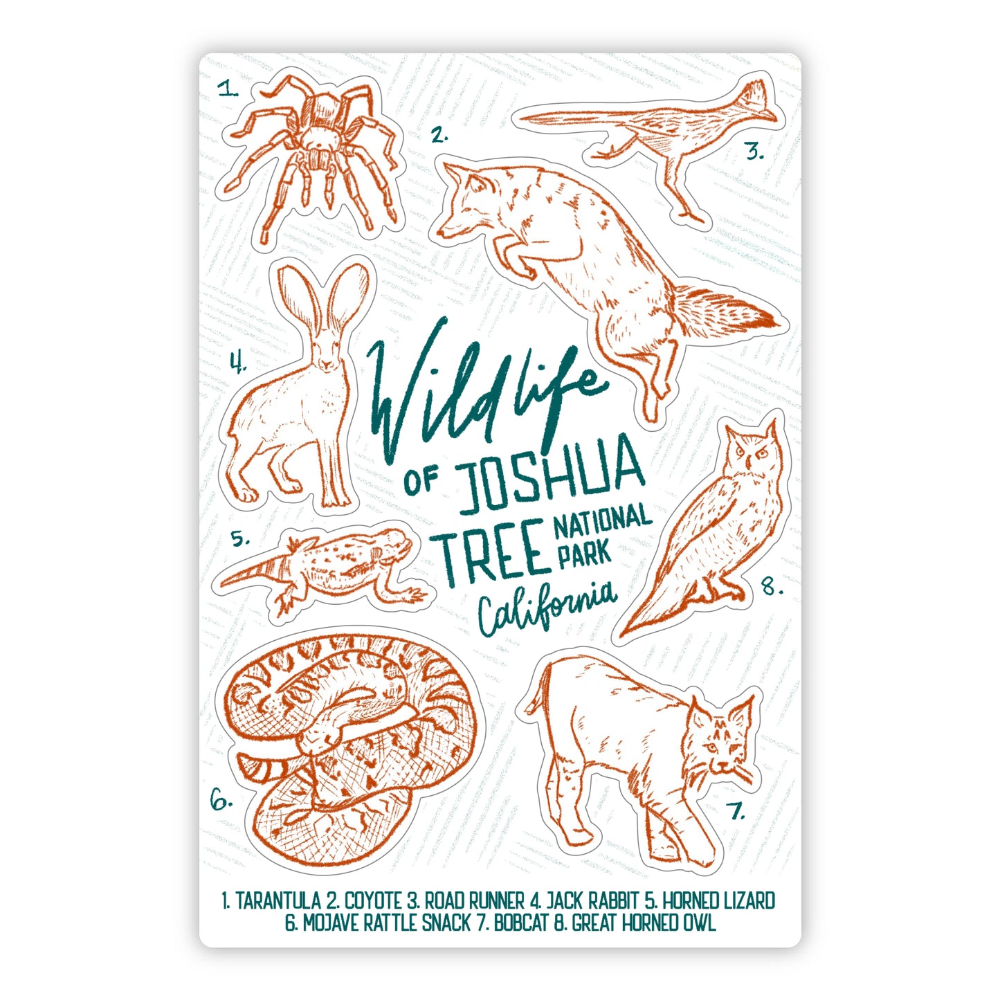 Wildlife of Joshua Tree National Park - Sticker Sheet