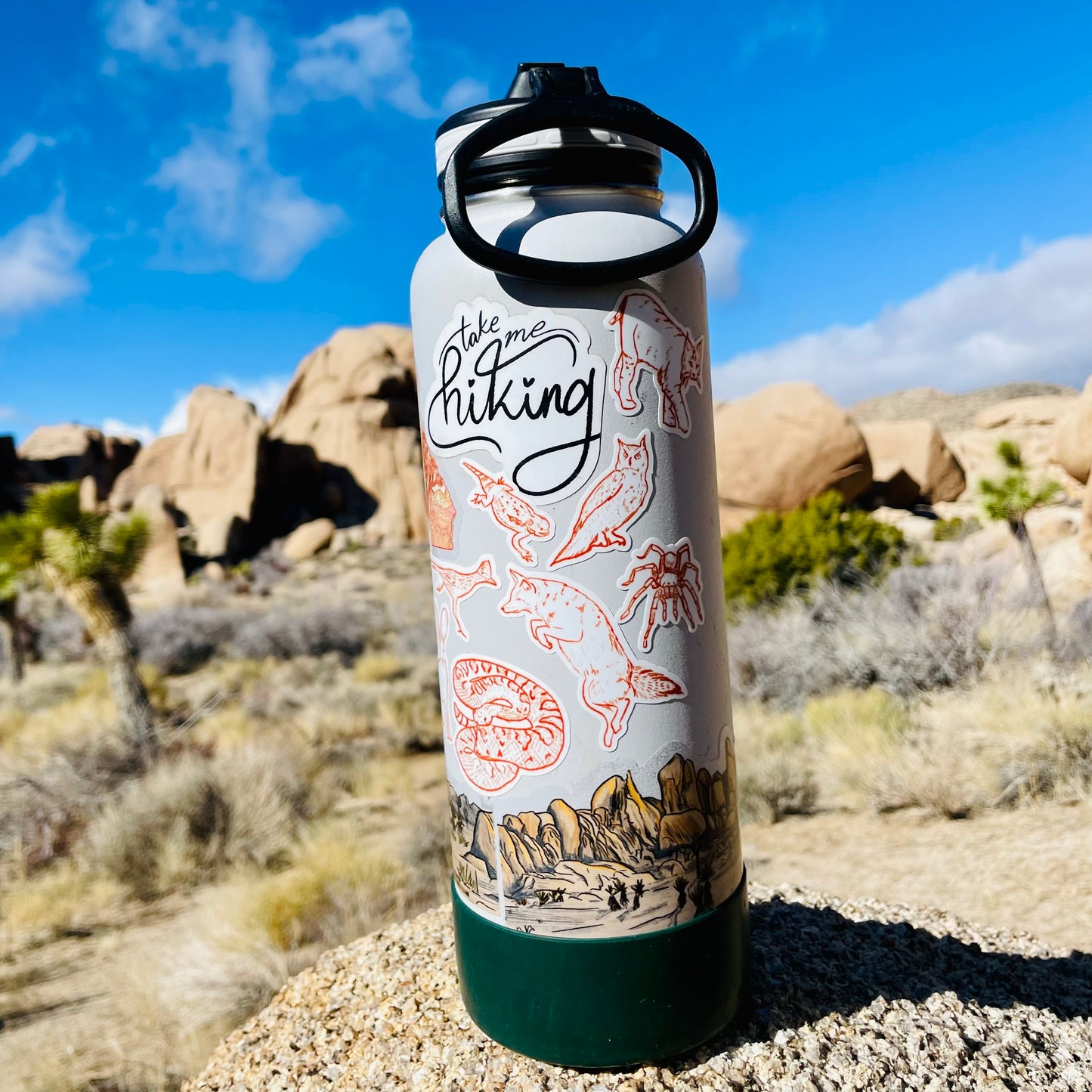 Wildlife of Joshua Tree National Park - Sticker Sheet