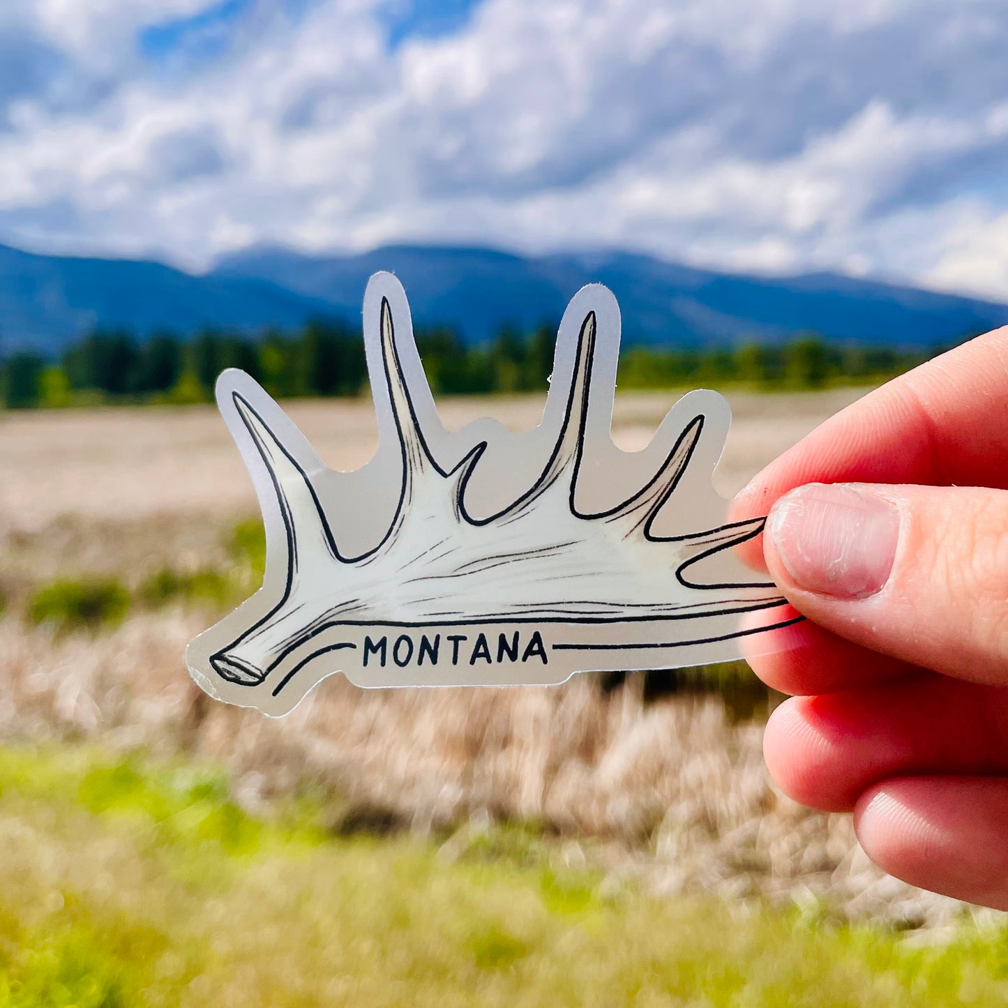 Moose Antler - Montana Sticker