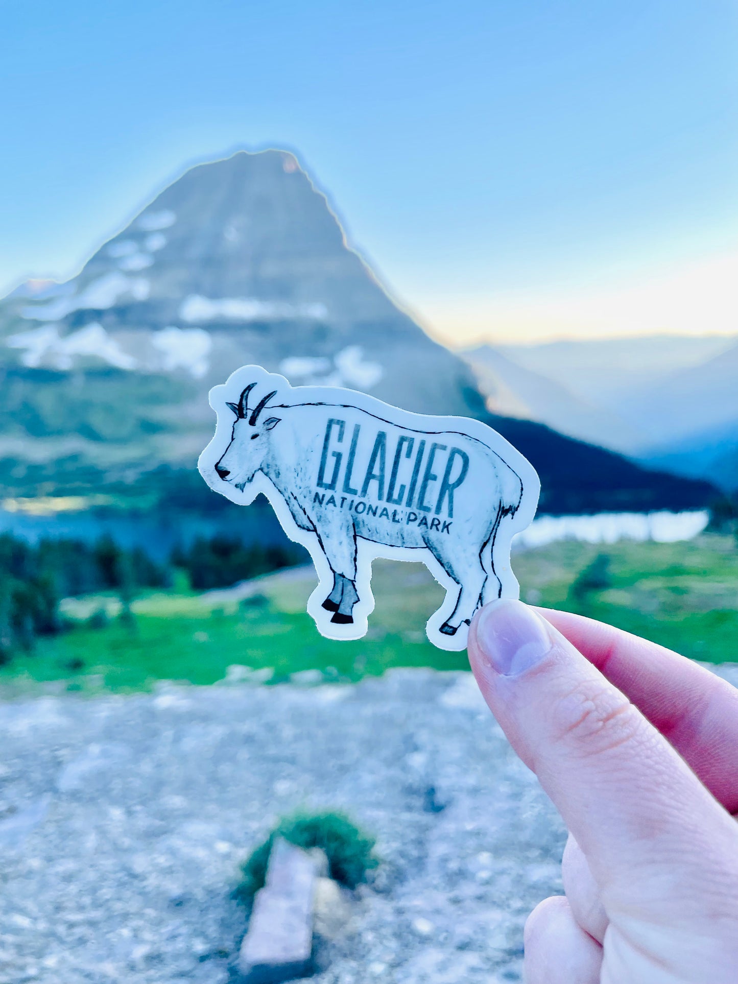 Glacier Goat