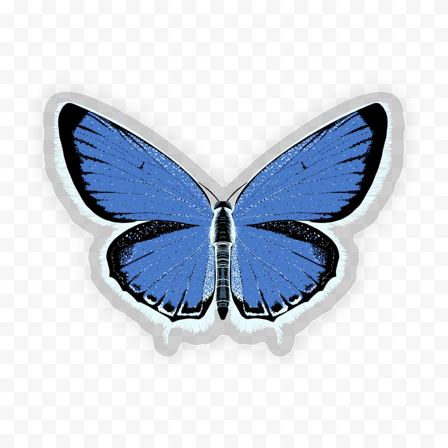 Western Tailed Blue Butterfly Sticker
