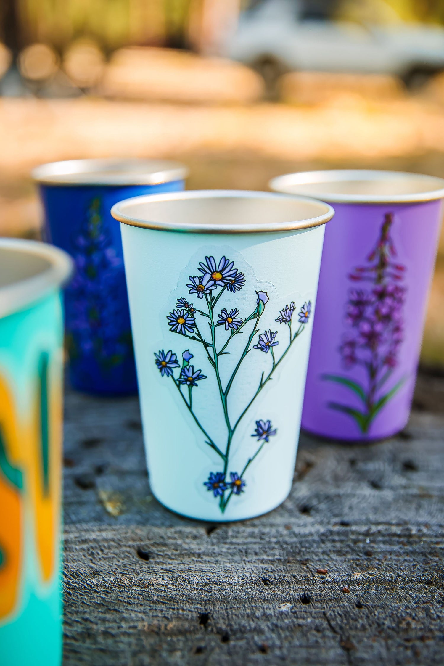 Wildflower Collection