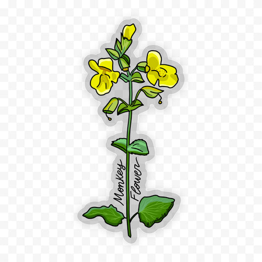 Monkey Flower Wildflower Sticker 4.5"