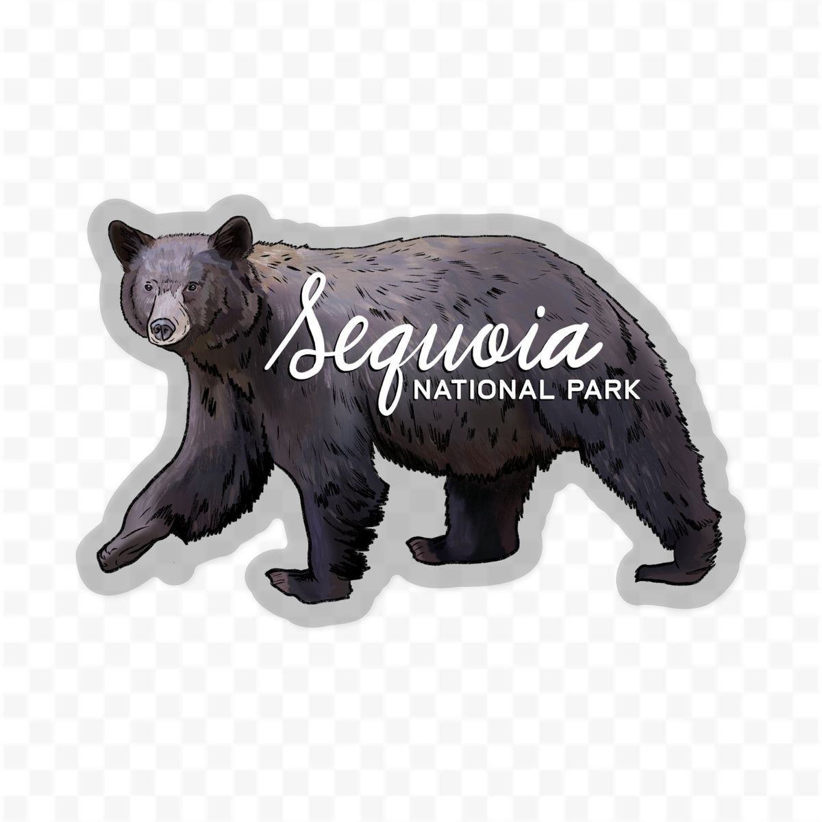 Sequoia National Park - Black Bear Sticker