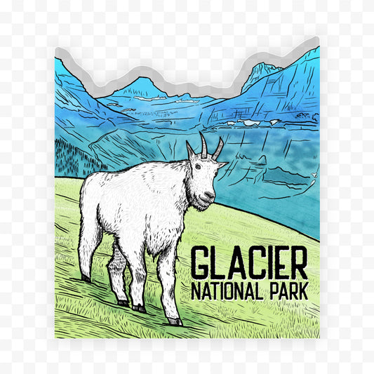 Mountain Goat Scene - Glacier National Park