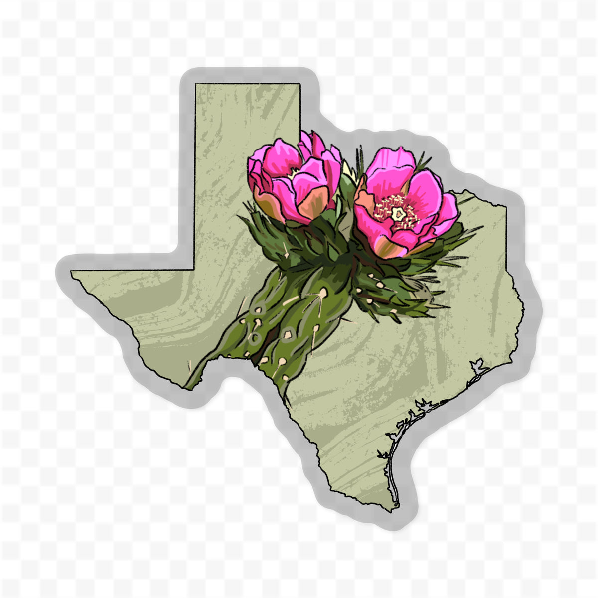 Texas Cholla