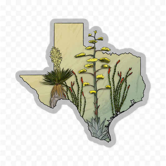 Texas Blooms
