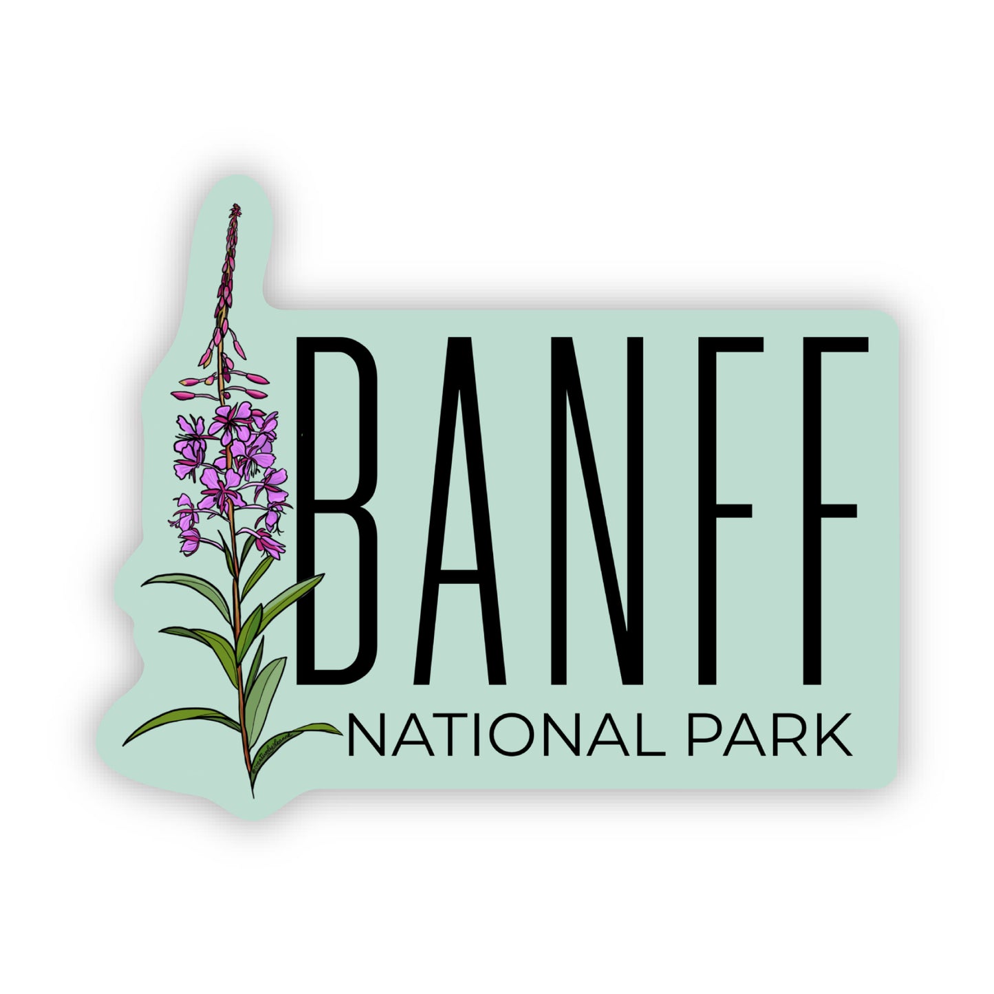 Banff National Park Fireweed Sticker