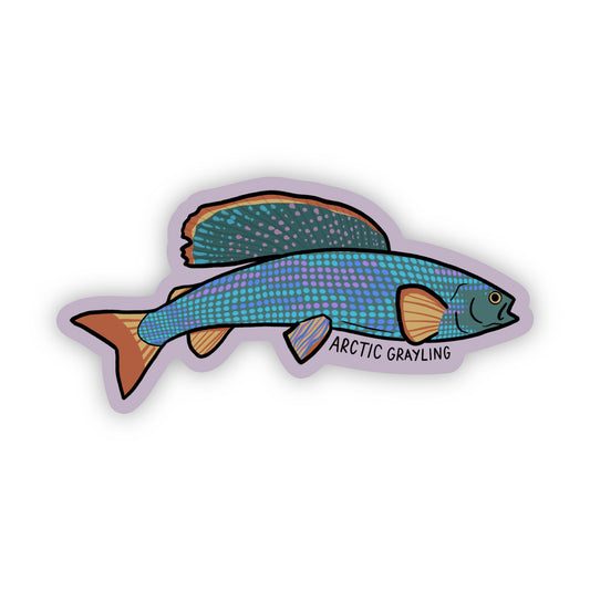 Arctic Grayling Trout Sticker