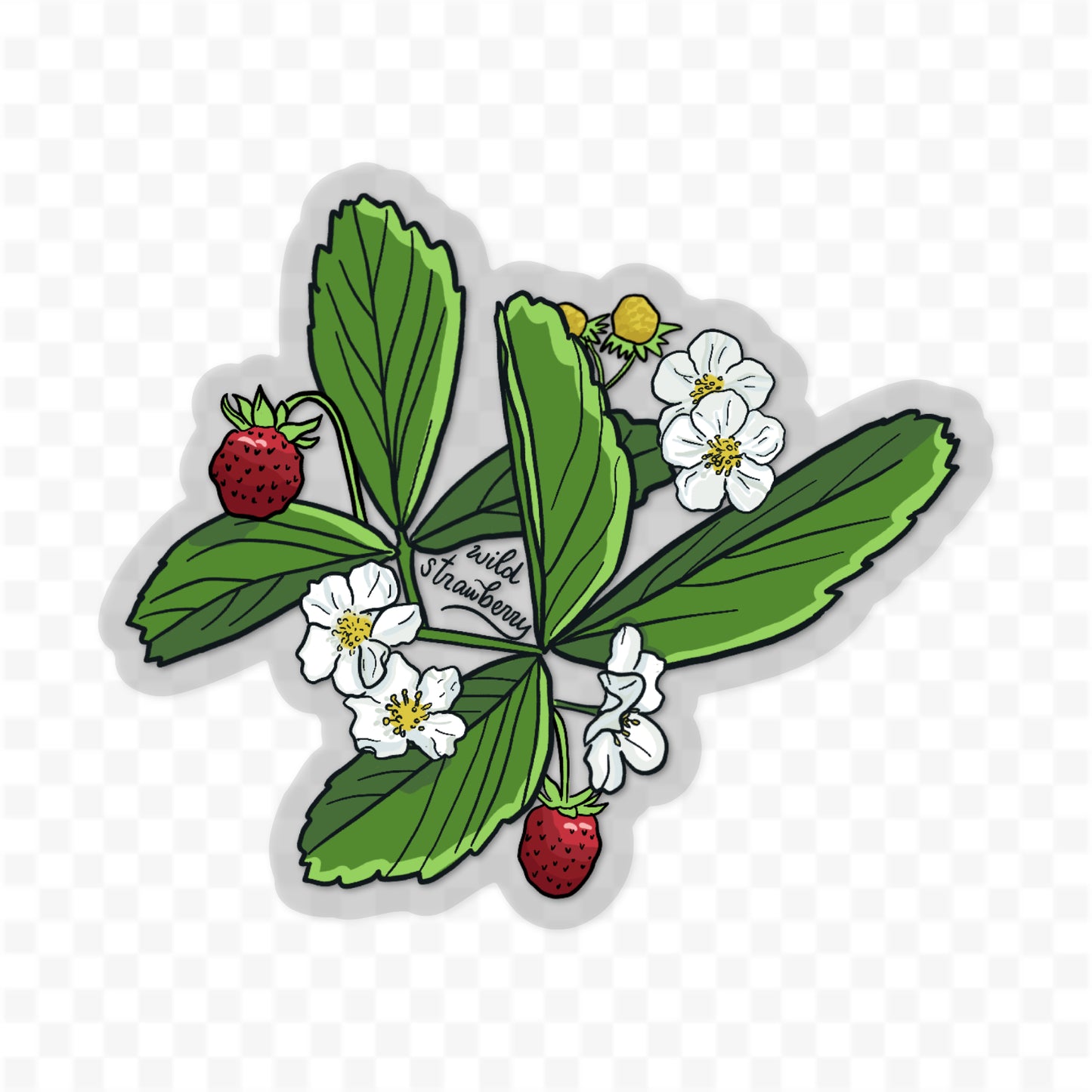 Wild Strawberry Sticker