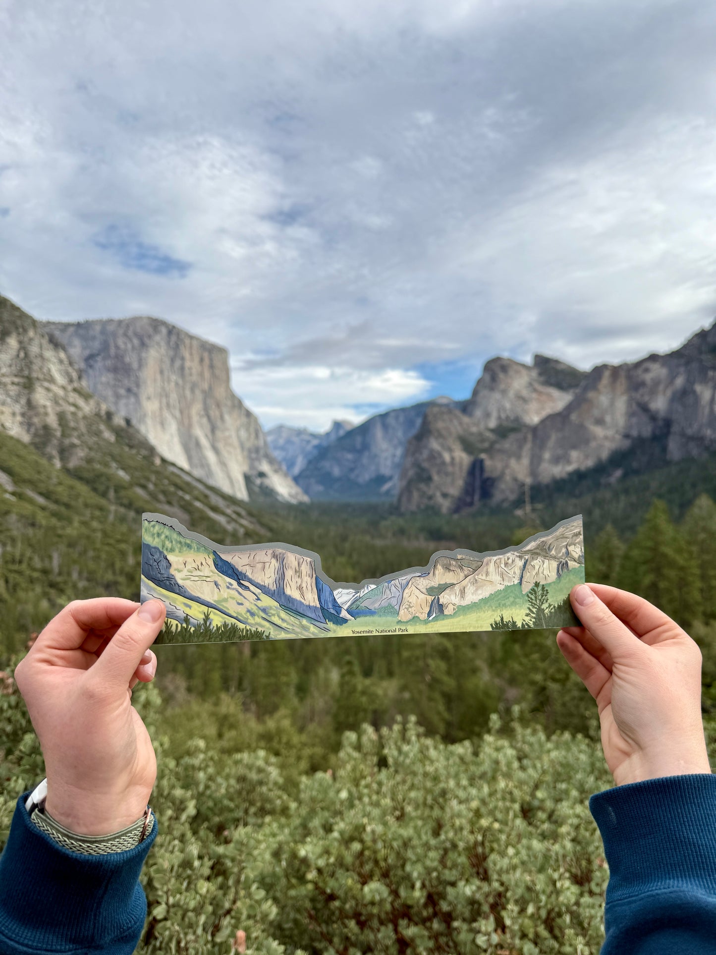 Yosemite Tunnel View Sticker Wrap