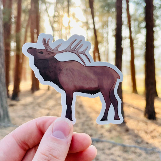 Elk