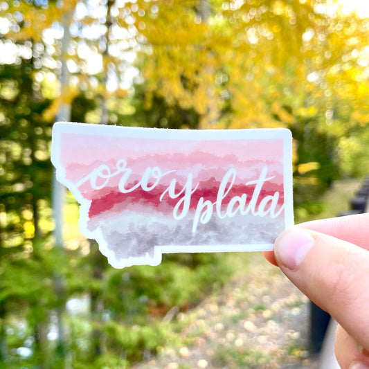 Gold & Silver "Oro y Plata"