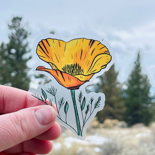 Golden Poppy