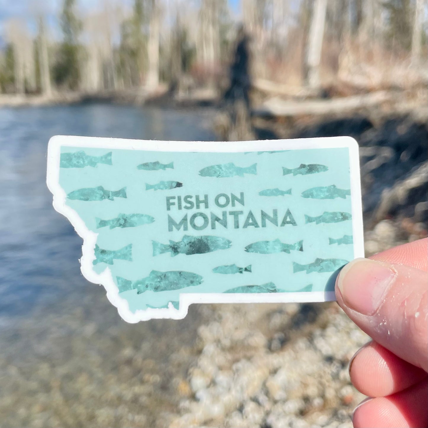 Fish On Montana - Montana State Sticker