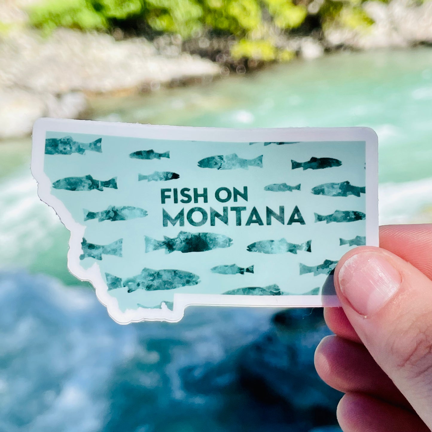 Fish On Montana - Montana State Sticker